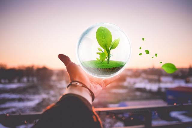 地塊土壤和地下水中揮發(fā)性有機物采樣技術導則