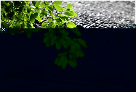 環(huán)境空氣降水中陽離子（Na+、NH4+、K+、Mg2+、Ca2+）的測定離子色譜法