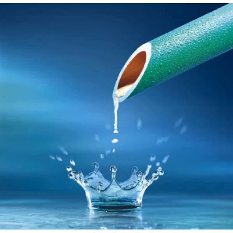 水質(zhì) 氯酸鹽、亞氯酸鹽、溴酸鹽、二氯乙酸和三氯乙酸的測定 離子色譜法