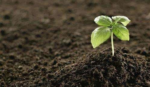 土壤 粒度的測定吸液管法和比重計法